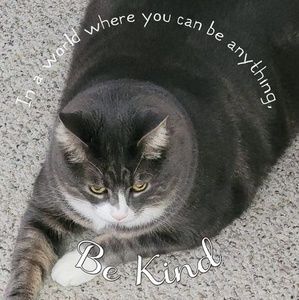 Meet your Posher, Katherine